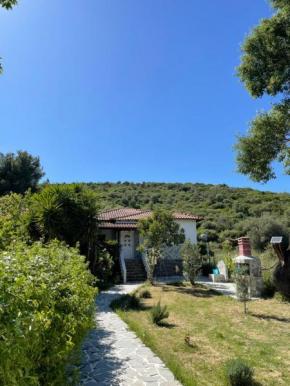 Villa Alexandros